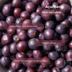 Açaí Berry Infusion Oil