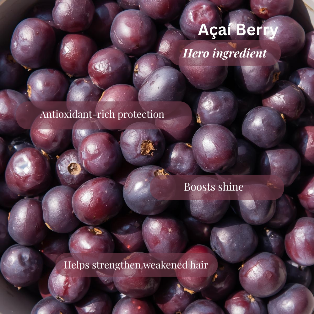 Açaí Berry Infusion Oil
